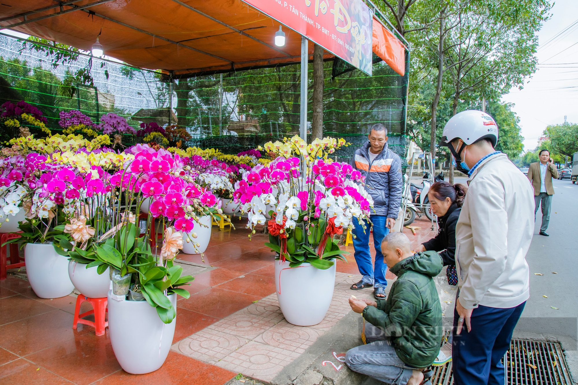 Khung cảnh Chợ hoa Xuân Ất Tỵ  Buôn Ma Thuột - Ảnh 3.